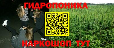 jwh Краснознаменск