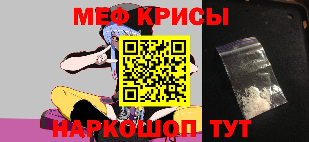 МЕФ  Камышин