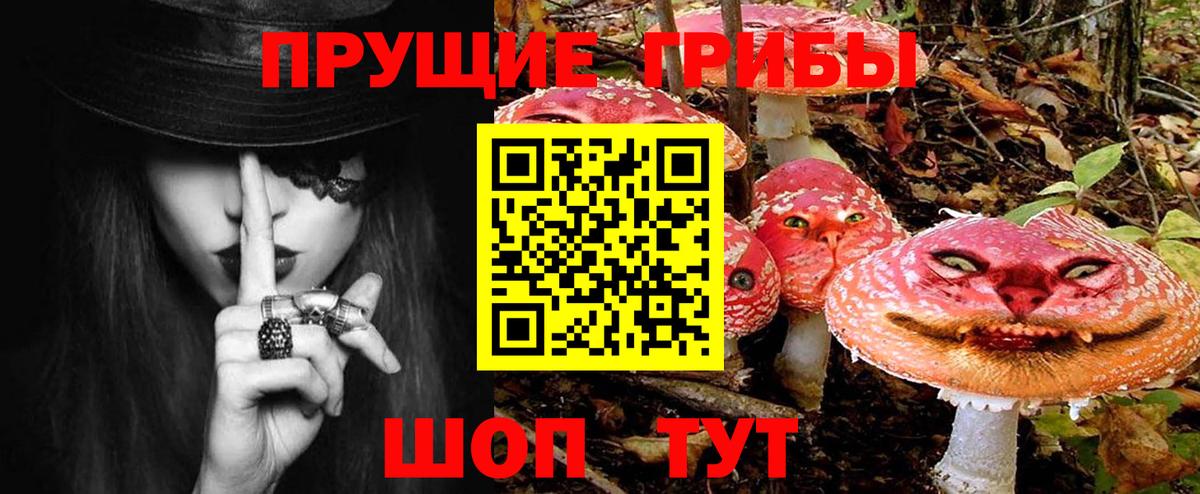купить наркотик  Галлюциногенные грибы MAGIC MUSHROOMS  Камышин  Вход с VPN  Галлюциногенные грибы Psilocybe 